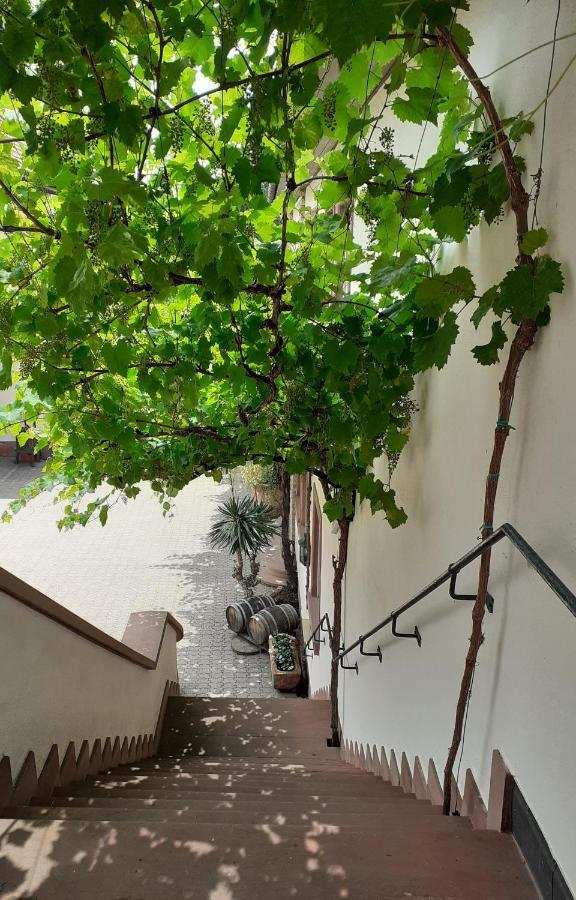 Das Landhotel Weingut Gernert Sankt Martin Ngoại thất bức ảnh