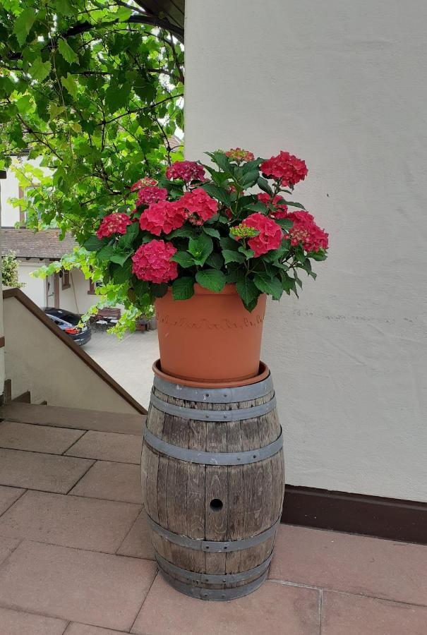 Das Landhotel Weingut Gernert Sankt Martin Ngoại thất bức ảnh